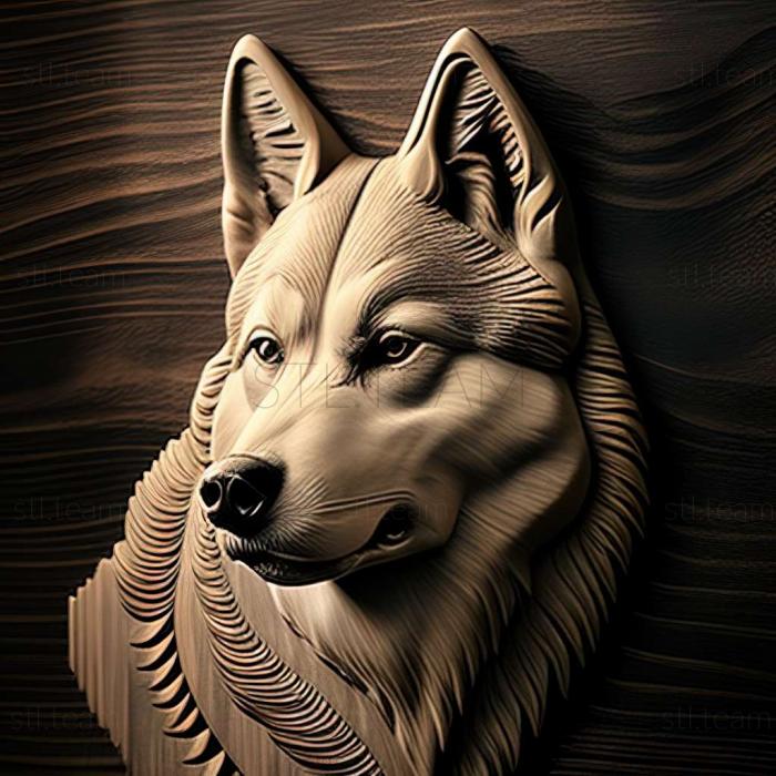 3D model WeSiberian Husky dog (STL)